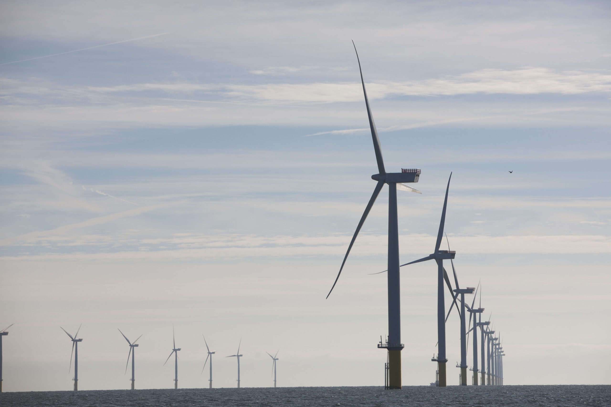 Fourteen UK Businesses Prepare to get Fit for Offshore Renewables